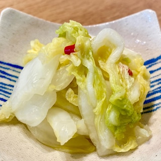 シンプル！粉末昆布だし白菜の漬け物